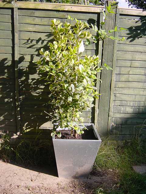 Picture 020.jpg